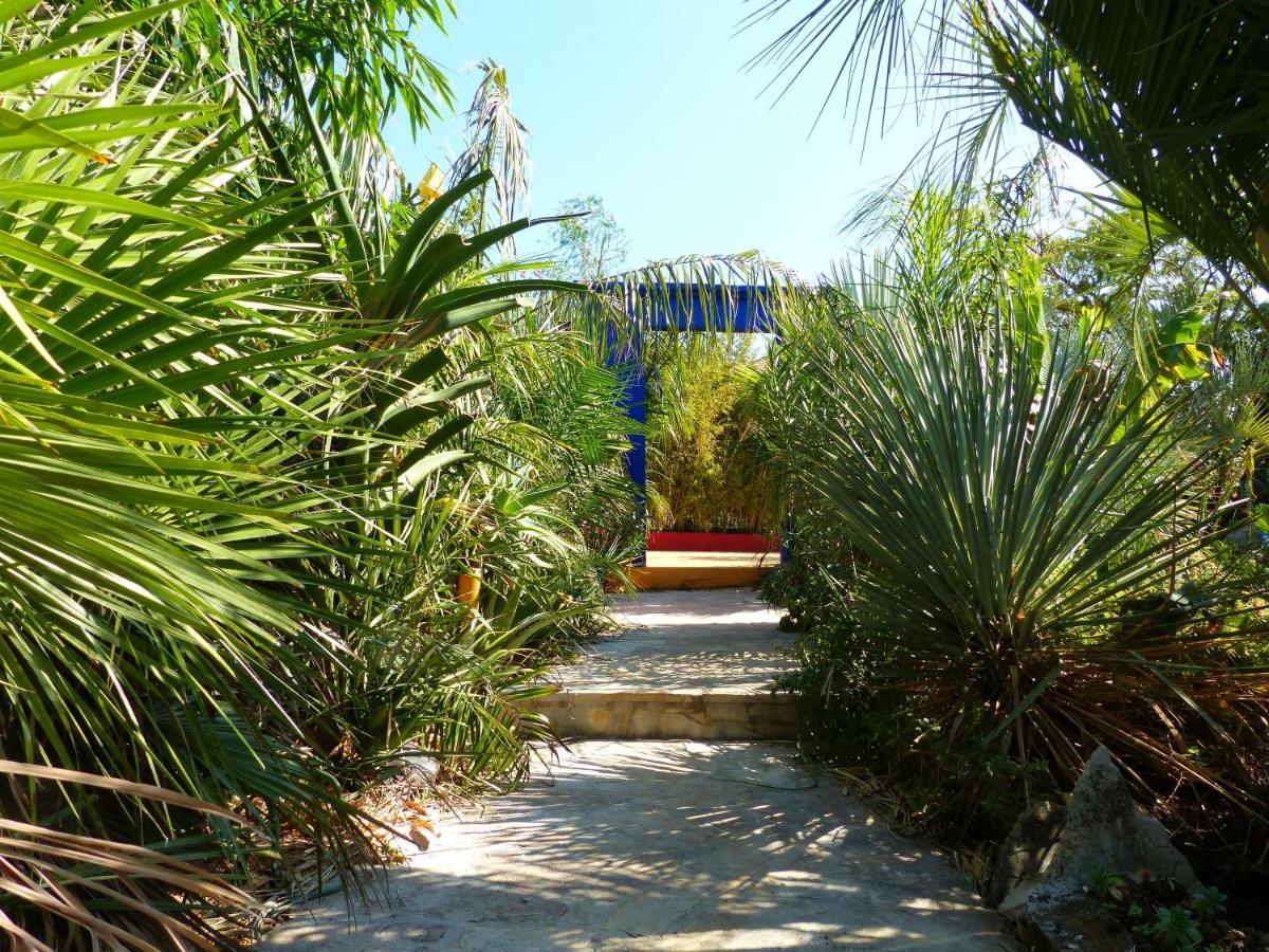Villa Tropica, Total Privacy, Tropical Garden And Private Pool Kaštela Exterior foto